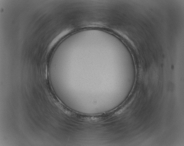 X0000081291317200702012234