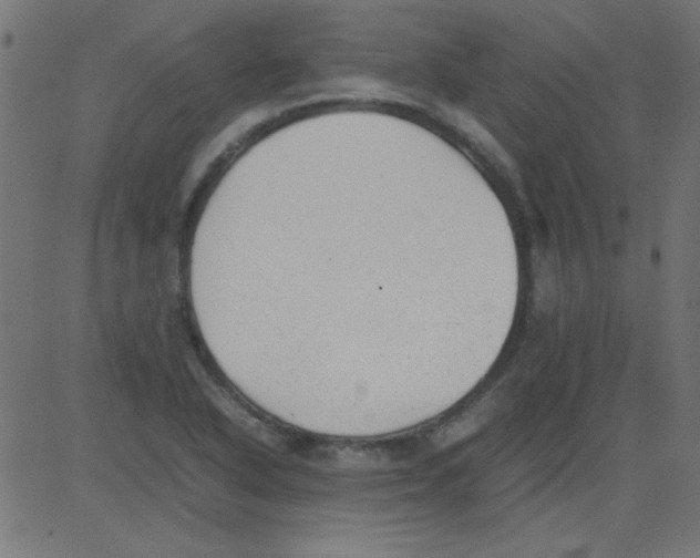 X0000081291318200702012234