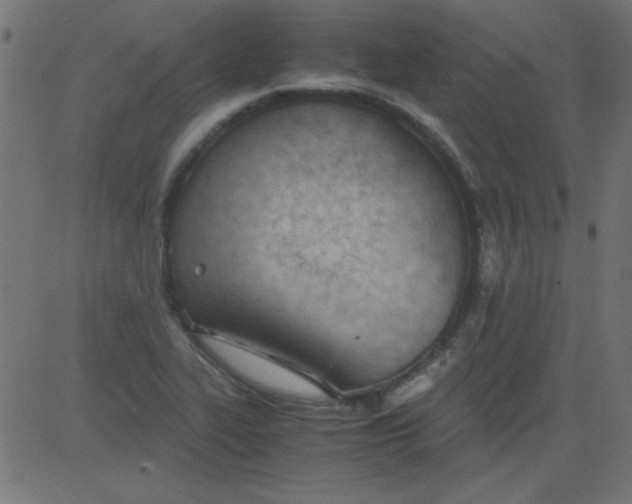 X0000081291319200702012234