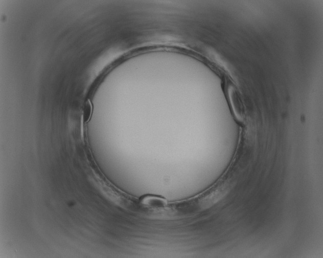 X0000081291320200702012234