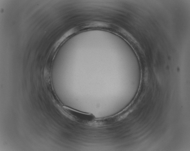 X0000081291321200702012234