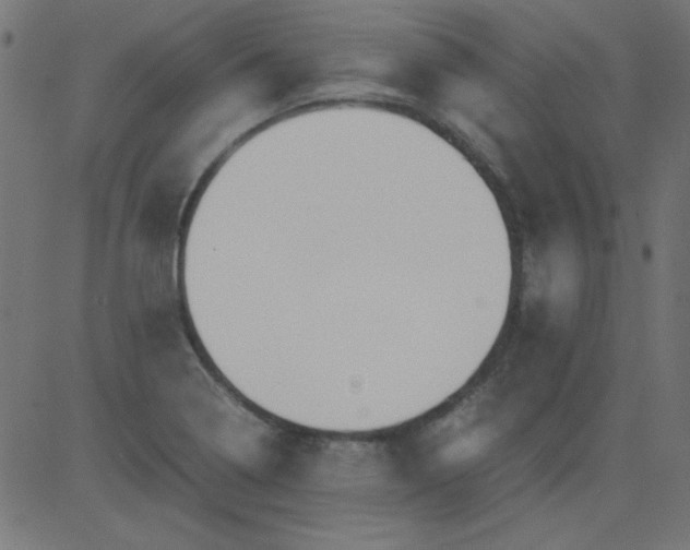 X0000081291322200702012234