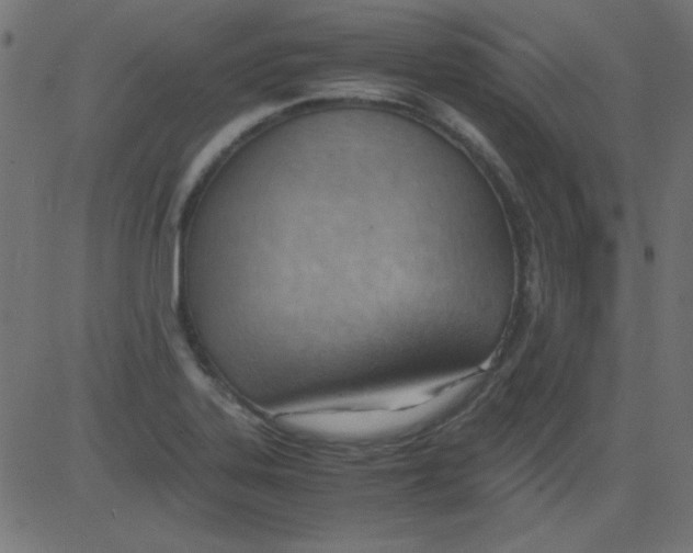 X0000081291323200702012234