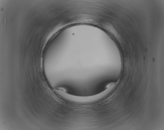 X0000081291324200702012234