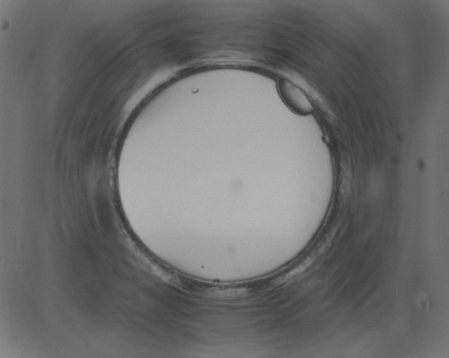 X0000081291325200702012234