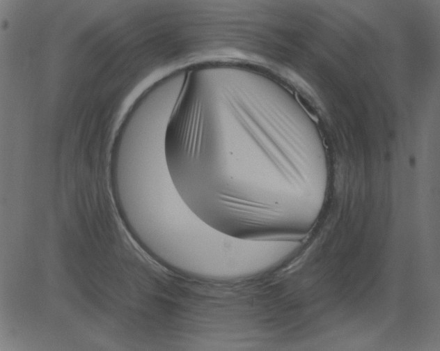 X0000081291326200702012234