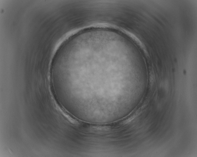 X0000081291327200702012234