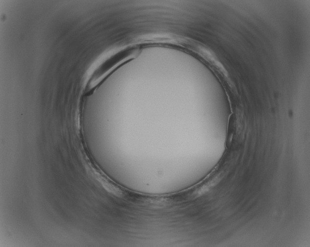 X0000081291328200702012234