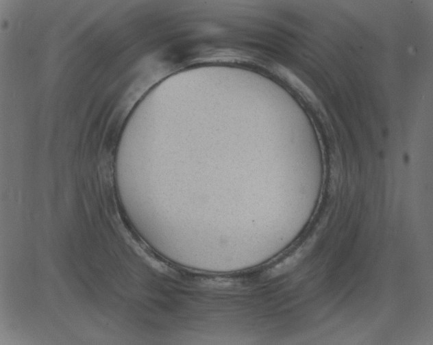 X0000081291329200702012234