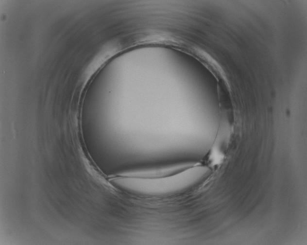 X0000081291330200702012234