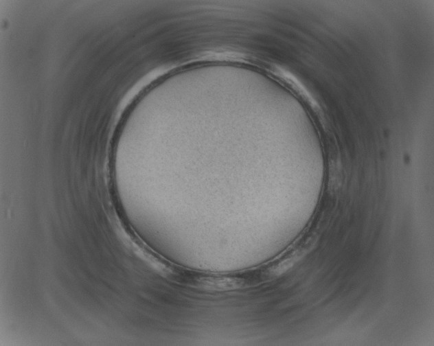 X0000081291331200702012234