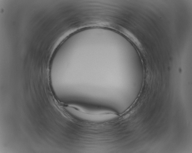 X0000081291332200702012234