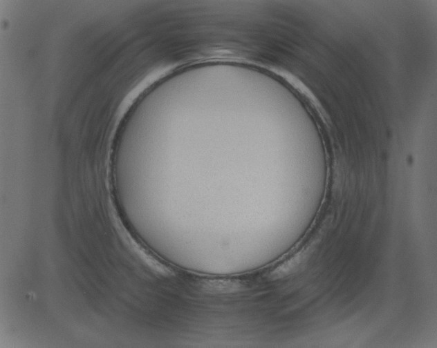 X0000081291333200702012234