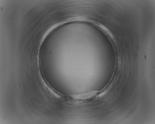 X0000081291334200702012234