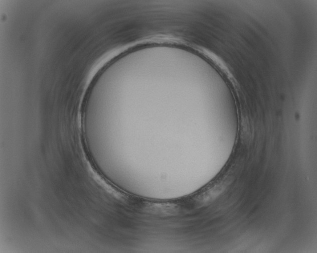 X0000081291335200702012234