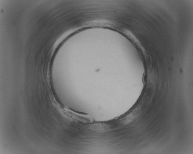 X0000081291336200702012234