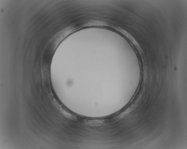 X0000081291337200702012235