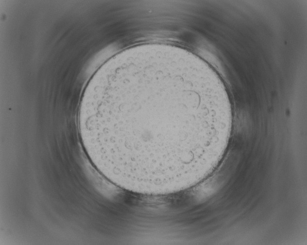 X0000081291338200702012235