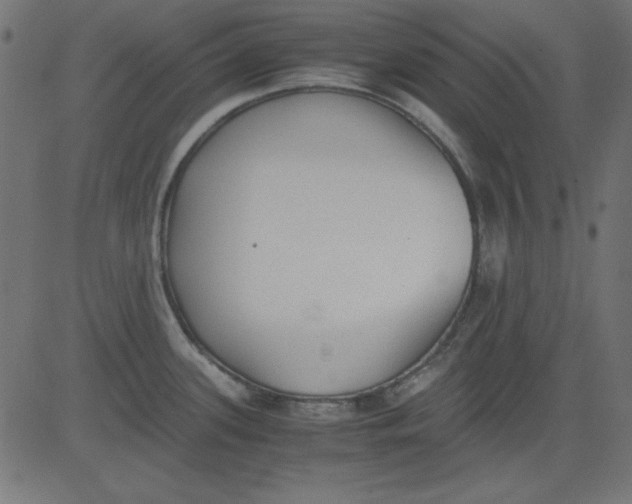 X0000081291339200702012235