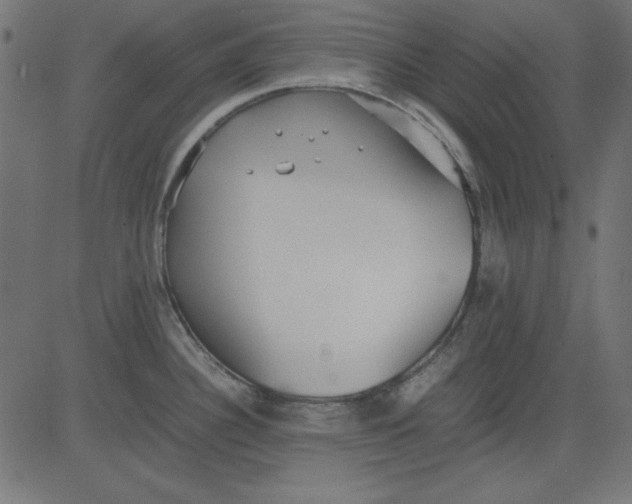 X0000081291340200702012235