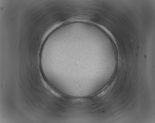 X0000081291341200702012235