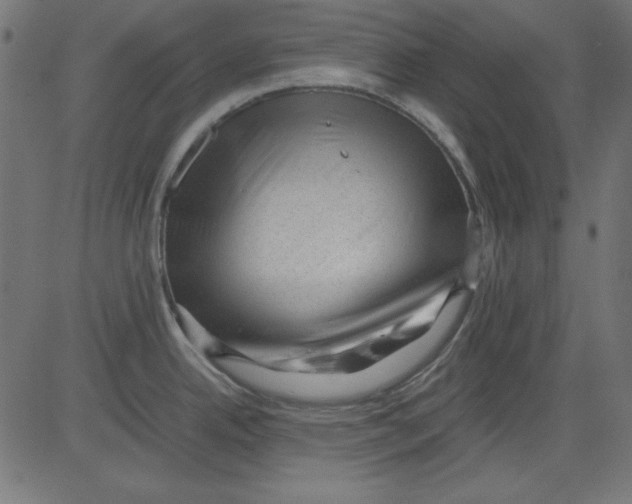 X0000081291342200702012235