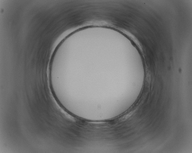 X0000081291343200702012235