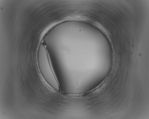 X0000081291344200702012235