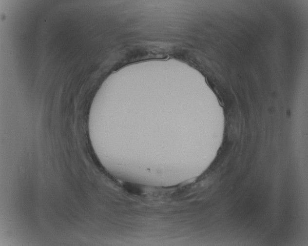 X0000081291345200702012234