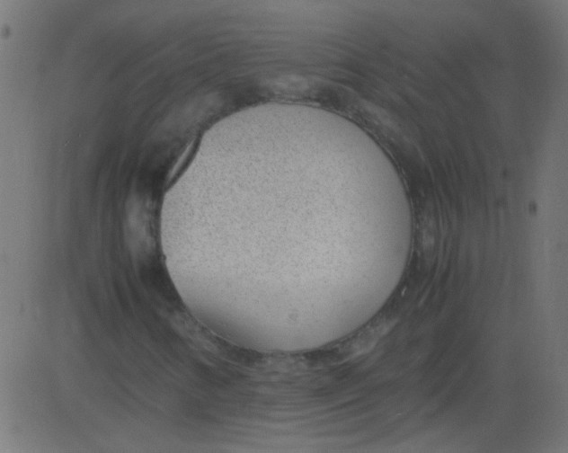 X0000081291346200702012234