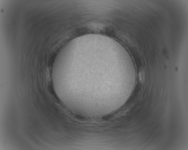 X0000081291347200702012234