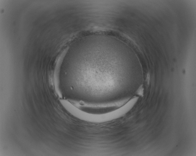 X0000081291348200702012234