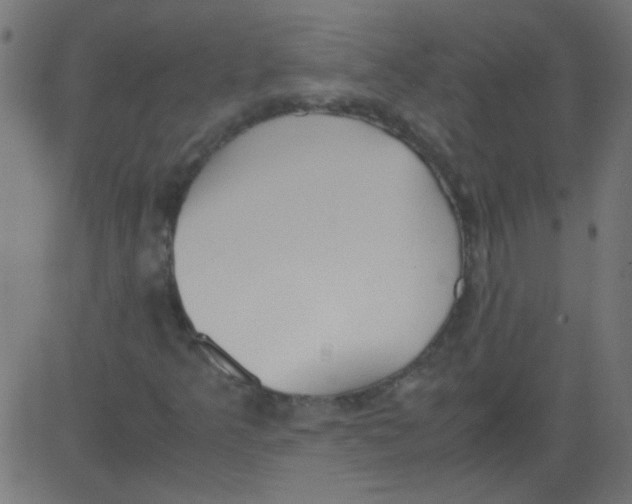 X0000081291349200702012234