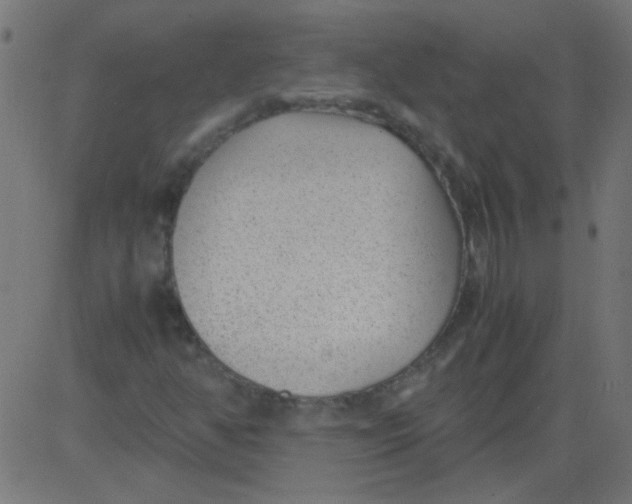 X0000081291350200702012234