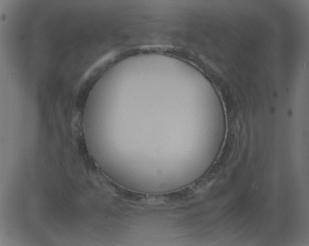 X0000081291351200702012234