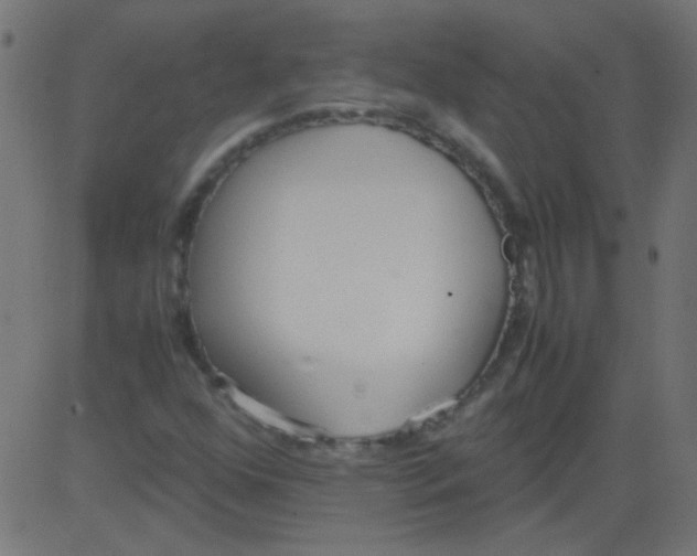 X0000081291352200702012234