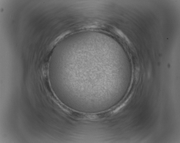 X0000081291353200702012234