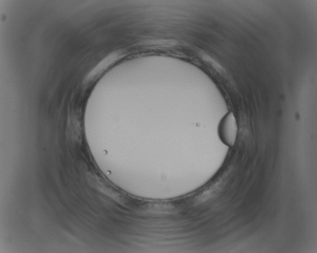 X0000081291354200702012234