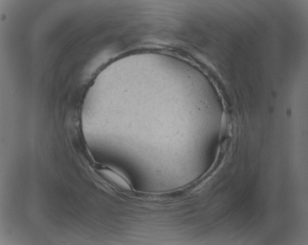 X0000081291355200702012234