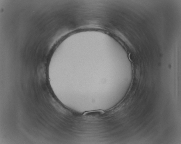 X0000081291356200702012234