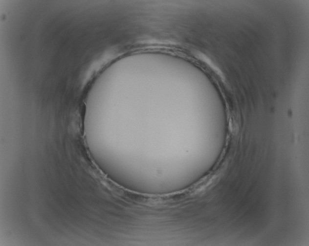 X0000081291357200702012234