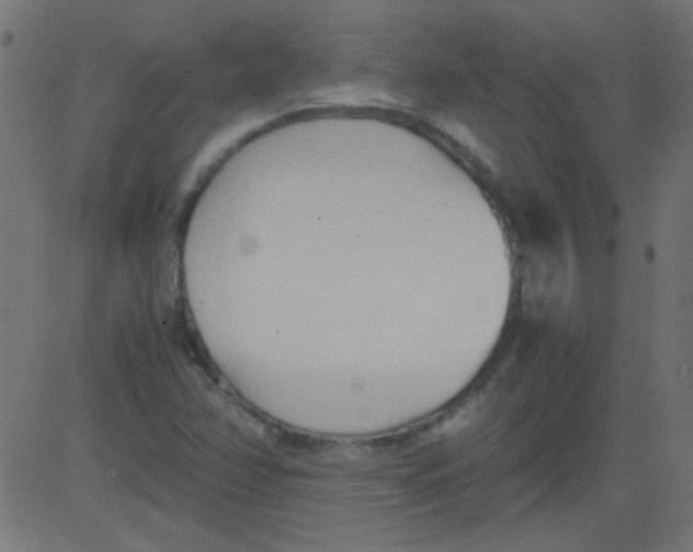 X0000081291358200702012234