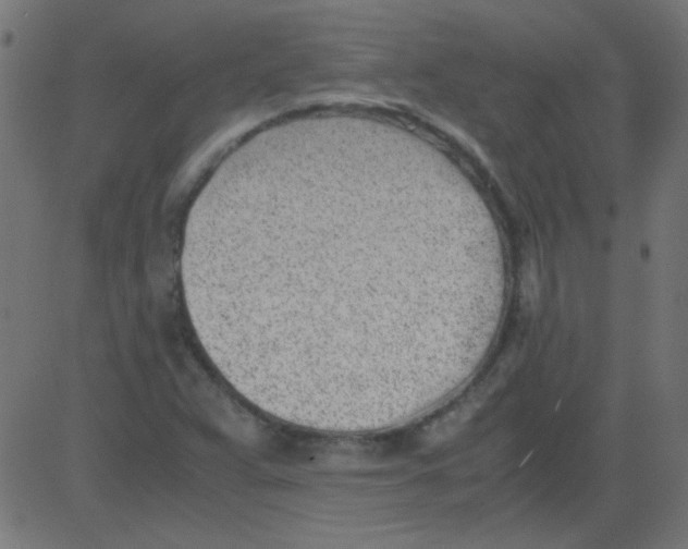 X0000081291359200702012234