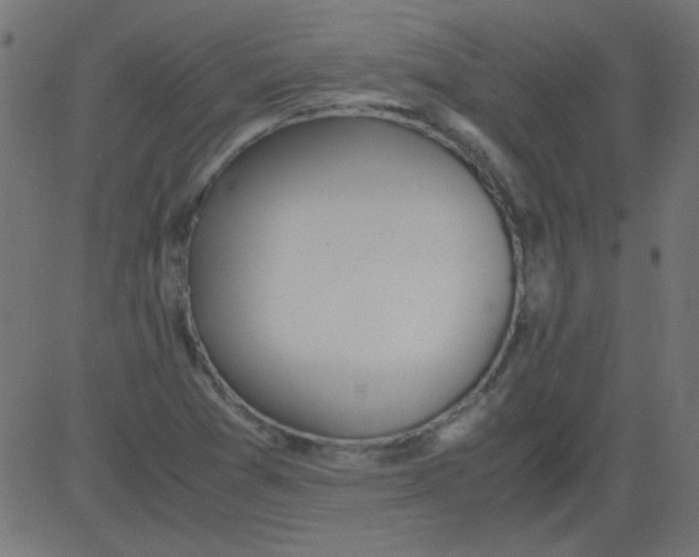 X0000081291361200702012234