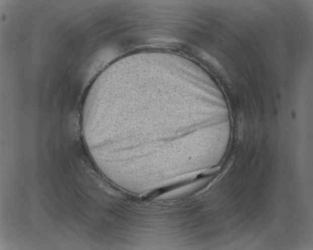 X0000081291362200702012234