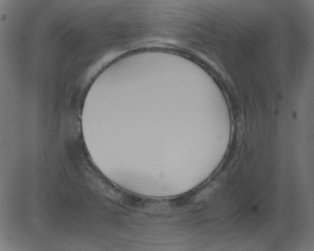 X0000081291363200702012234