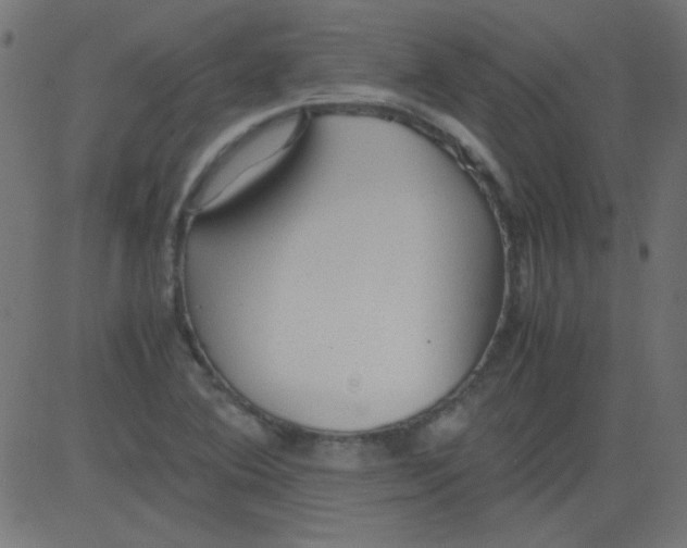 X0000081291364200702012234