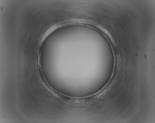 X0000081291365200702012234