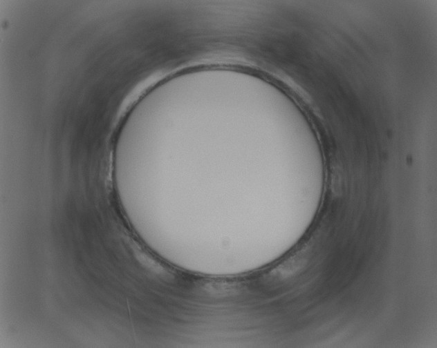 X0000081291366200702012233