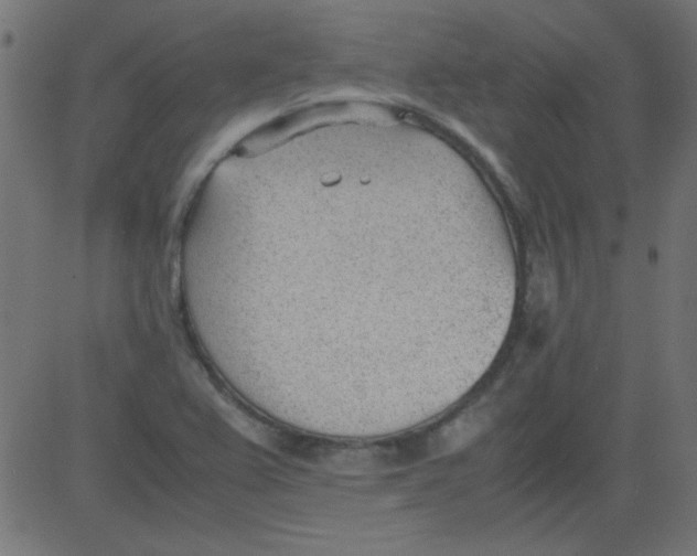 X0000081291367200702012233